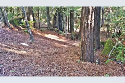 2421 Otter Lane, Willits, CA 95490 - Photo 5