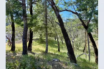 26549 Daphne Way, Willits, CA 95490 - Photo 3