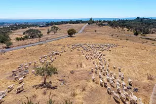 4665 Upper Ridge Rd, Santa Rosa, CA 95404 - Photo 87