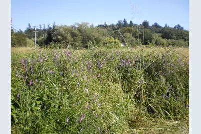 300 Ferguson Road, Sebastopol, CA 95472 - Photo 1