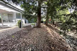 31 Springhill Ct, Santa Rosa, CA 95409 - Photo 5
