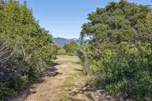 5 Lauff Ranch Rd, Bolinas, CA 94924 - Photo 77
