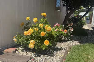 158 Chiquita Camino, Sonoma, CA 95476 - Photo 35