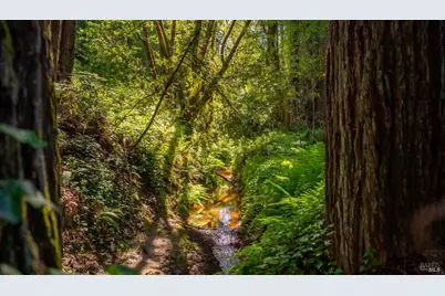 9901 Occidental Road, Sebastopol, CA 95472 - Photo 53