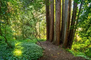 9901 Occidental Rd, Sebastopol, CA 95472 - Photo 47
