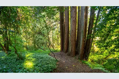 9901 Occidental Road, Sebastopol, CA 95472 - Photo 49