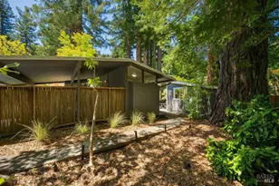 5 Heather Way, Mill Valley, CA 94941 - Photo 37
