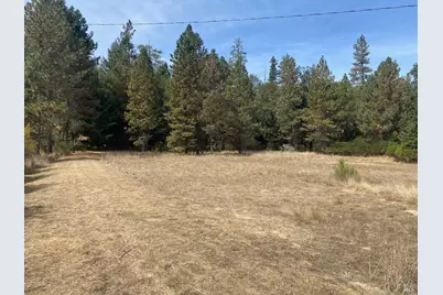 180 Mulligan Road, Laytonville, CA 95454 - Photo 5