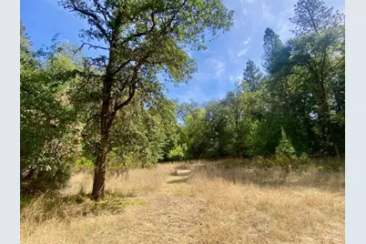 180 Mulligan Road, Laytonville, CA 95454 - Photo 11
