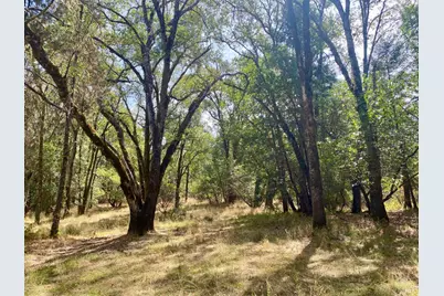 180 Mulligan Road, Laytonville, CA 95454 - Photo 17