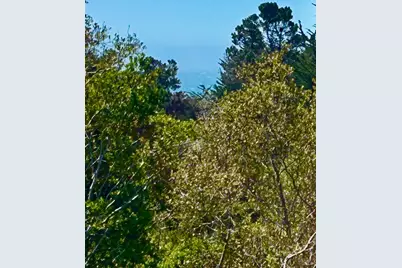 41322 Tallgrass, The Sea Ranch, CA 95497 - Photo 3