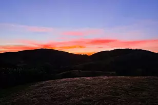 95 Irving Dr, San Anselmo, CA 94960 - Photo 89