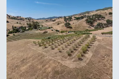 3442 Sackett Lane, Winters, CA 95694 - Photo 77