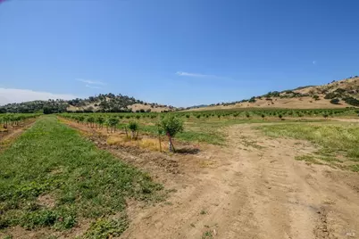 3442 Sackett Lane, Winters, CA 95694 - Photo 73