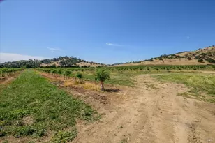 3442 Sackett Ln, Winters, CA 95694 - Photo 73