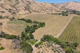 3442 Sackett Ln, Winters, CA 95694 - Photo 83