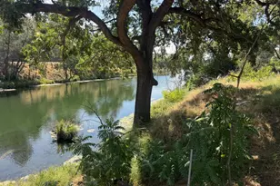 3442 Sackett Ln, Winters, CA 95694 - Photo 87