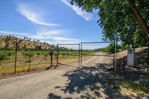 3442 Sackett Ln, Winters, CA 95694 - Photo 75