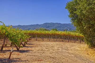 15881 Highway 12, Sonoma, CA 95476 - Photo 11
