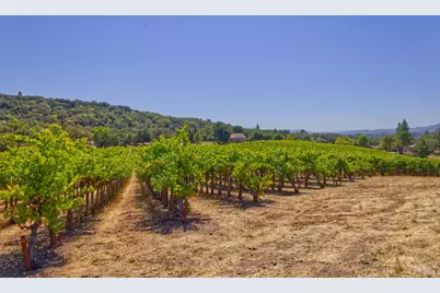 15881 Highway 12, Sonoma, CA 95476 - Photo 13