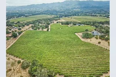 15881 Highway 12, Sonoma, CA 95476 - Photo 5