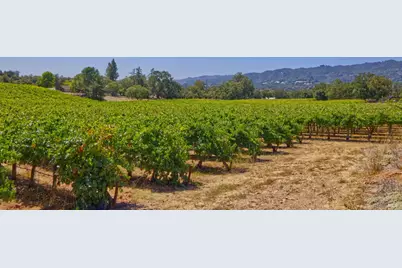15881 Highway 12, Sonoma, CA 95476 - Photo 3