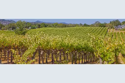 15881 Highway 12, Sonoma, CA 95476 - Photo 15