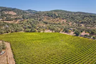 15881 Hwy 12, Sonoma, CA 95476 - Photo 1