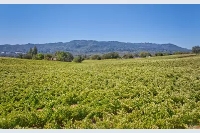 15881 Highway 12, Sonoma, CA 95476 - Photo 19