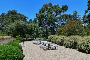 6600 Yount St, Yountville, CA 94599 - Photo 23