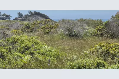 56 Sea Meadow Drive, The Sea Ranch, CA 95497 - Photo 15