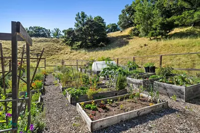 1 Love Court, Fairfax, CA 94930 - Photo 37