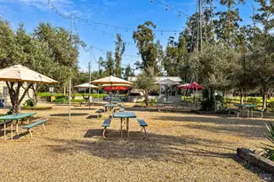 3106 Golden Gate Dr, Napa, CA 94558 - Photo 29