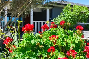 1773 Crinella Dr, Saint Helena, CA 94574 - Photo 73
