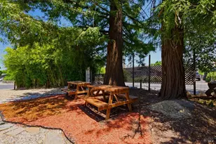 1773 Crinella Dr, Saint Helena, CA 94574 - Photo 51