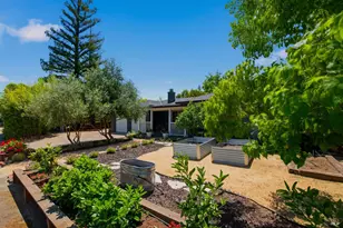 1773 Crinella Dr, Saint Helena, CA 94574 - Photo 3