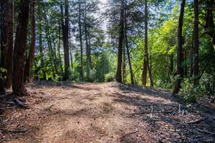 1235 Big Barn Rd, Cazadero, CA 95421 - Photo 17