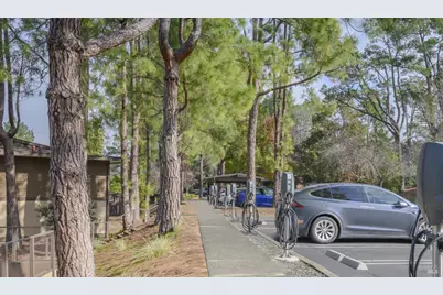 29 Forest Lane, San Rafael, CA 94903 - Photo 31