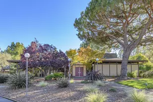 29 Forest Ln, San Rafael, CA 94903 - Photo 27