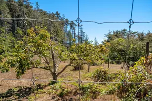 34501 S Hwy 1, Gualala, CA 95445 - Photo 35