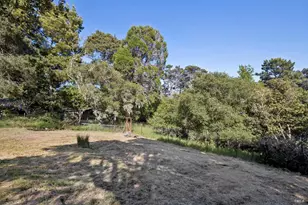 95 Via De La Vista, Inverness, CA 94937 - Photo 51