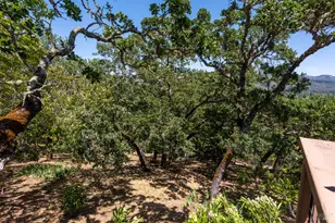 497 Hillsdale Dr, Santa Rosa, CA 95409 - Photo 33
