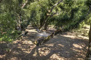 3760 Grove St, Sonoma, CA 95476 - Photo 45