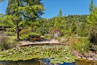 31501 Comptche Ukiah Road, Comptche, CA 95427 - Photo 13
