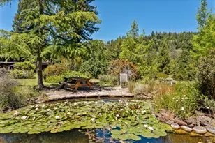 31501 Comptche Ukiah Rd, Comptche, CA 95427 - Photo 13