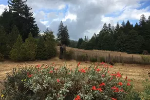 31501 Comptche Ukiah Rd, Comptche, CA 95427 - Photo 65
