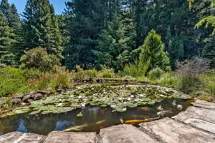 31501 Comptche Ukiah Rd, Comptche, CA 95427 - Photo 25