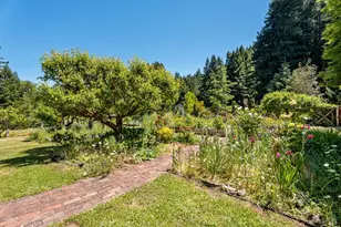 31501 Comptche Ukiah Rd, Comptche, CA 95427 - Photo 35