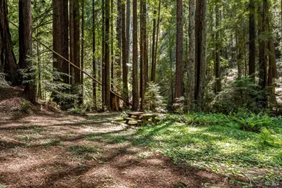 31501 Comptche Ukiah Road, Comptche, CA 95427 - Photo 45