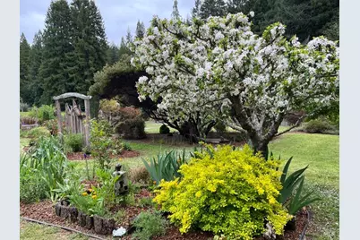 31501 Comptche Ukiah Road, Comptche, CA 95427 - Photo 67
